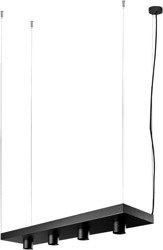 Zwis Plant Black 9381 I Nowodvorski Lighting